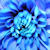:iconthe-greene-meow: