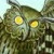 :iconthe-harlequin-harpie: