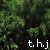 :iconthe-hidden-jungle: