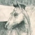 :iconthe-horse-talker: