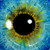 :iconthe-inception:
