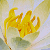 :iconthe-joker121:
