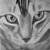 :iconthe-kaminski:
