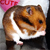 :iconThe-Lioness: