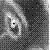 :iconthe-little-riot: