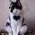 :iconthe-lonely-people: