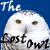 :iconthe-lost-owl: