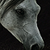 :iconthe-lovely-dreams: