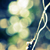 :iconthe-luchs: