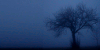:iconthe-magic-of-nature: