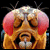 :iconthe-marazmo: