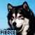 :iconthe-meerkat-burrow: