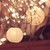 :iconthe-orange-gazette: