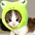 :iconthe-original-bloody: