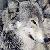 :iconthe-pack-wolf-club:
