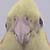 :iconthe-peachandstorm-fc: