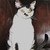 :iconthe-pencil-lady: