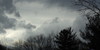 :iconthe-photo-alliance: