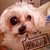 :iconthe-pink-magpie:
