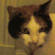 :iconthe-pizzacatplz: