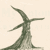 :iconthe-pythoness: