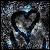 :iconthe-ravens-kiss: