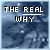 :iconthe-real-why: