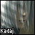 :iconthe-remnant-kadaj: