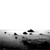 :iconthe-rush: