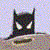 :iconthe-saa: