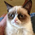 :iconthe-sadistic-god: