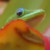 :iconthe-seventh-day: