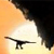 :iconthe-short-straw: