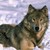 :iconthe-shrubber: