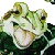 :iconthe-siege: