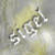:iconthe-sigel: