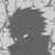 :iconThe-Silent-Sound-kun: