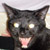 :iconthe-silver-pen: