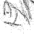 :iconthe-sole-exception:
