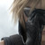 :iconthe-starship: