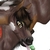 :iconthe-sushii: