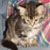 :iconthe-suz: