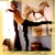 :iconthe-sweets: