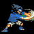 :iconthe-sws-donate: