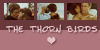 :iconthe-thorn-birds: