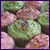 :iconThe-Ugly-Muffin: