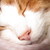 :iconthe-ugly-sweater: