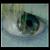 :iconthe-vampyre-prince: