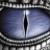 :iconthe-varden: