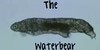:iconthe-waterbear: